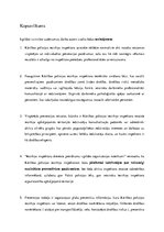 Eseja 'Prevencijas loma un vieta Valsts policijas Iecirkņu inspektoru jomā', 9.