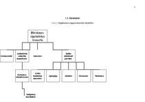 Biznesa plāns 'Ledus halles biznesa plāns', 7.