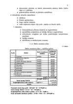 Biznesa plāns 'Ledus halles biznesa plāns', 9.