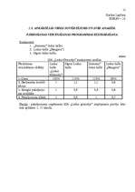 Biznesa plāns 'Ledus halles biznesa plāns', 12.