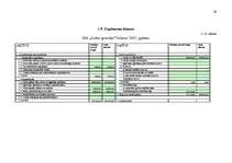 Biznesa plāns 'Ledus halles biznesa plāns', 19.