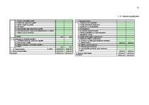 Biznesa plāns 'Ledus halles biznesa plāns', 21.