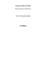 Referāts 'Atmiņa', 1.