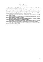 Biznesa plāns 'Biznesa plāns SIA "Afiko"', 5.