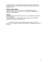 Biznesa plāns 'Biznesa plāns SIA "Afiko"', 11.