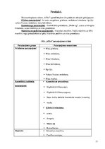 Biznesa plāns 'Biznesa plāns SIA "Afiko"', 13.