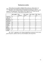 Biznesa plāns 'Biznesa plāns SIA "Afiko"', 18.