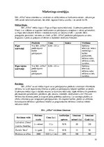 Biznesa plāns 'Biznesa plāns SIA "Afiko"', 19.