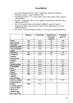 Biznesa plāns 'Biznesa plāns SIA "Afiko"', 28.