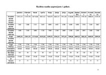 Biznesa plāns 'Biznesa plāns SIA "Afiko"', 31.