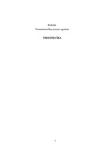 Referāts 'Tautsaimniecības nozare - tirdzniecība', 1.