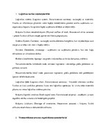 Konspekts 'Loģistikas vārdnīca', 1.