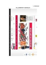 Referāts 'Piecu saplākšņa mazumtirgotāju mājas lapu dizaina salīdzinājums', 11.