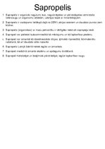 Konspekts 'Latvijas derīgie izrakteņi', 9.