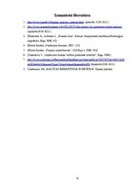 Referāts 'Likviditāte', 18.