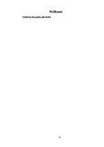 Referāts 'Likviditāte', 19.