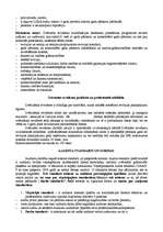 Konspekts 'Audita pamati', 4.