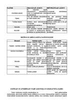 Konspekts 'Audita pamati', 6.