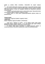 Konspekts 'Audita pamati', 7.