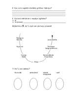 Konspekts 'Anketa par izglītību', 2.