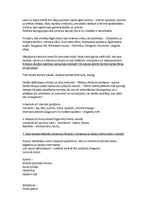 Konspekts 'Ilzes Šķipsnas darba "Aiz septītā tilta" analīze', 4.