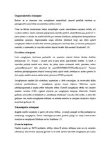 Referāts 'Risinājumi cīņai pret surogātpastu', 5.