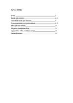 Referāts 'Psihosociālā attīstība no 4 līdz 6 gadu vecumam', 1.