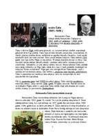 Referāts 'Aleksandrs Čaks', 2.