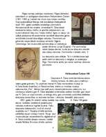 Referāts 'Aleksandrs Čaks', 4.