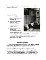 Referāts 'Aleksandrs Čaks', 5.