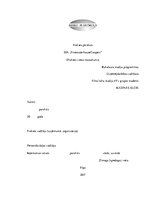 Prakses atskaite 'Prakses pārskats SIA "PricewaterhouseCoopers"', 1.