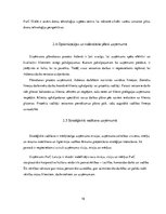 Prakses atskaite 'Prakses pārskats SIA "PricewaterhouseCoopers"', 16.