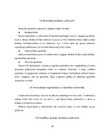 Prakses atskaite 'Prakses pārskats SIA "PricewaterhouseCoopers"', 26.