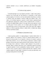 Prakses atskaite 'Prakses pārskats SIA "PricewaterhouseCoopers"', 29.