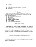 Prakses atskaite 'Prakses pārskats SIA "PricewaterhouseCoopers"', 31.