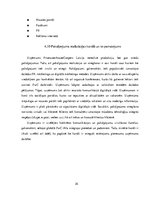 Prakses atskaite 'Prakses pārskats SIA "PricewaterhouseCoopers"', 35.