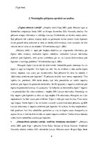 Referāts 'Etnisko attiecību pētījumi', 6.