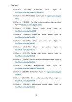 Referāts 'Etnisko attiecību pētījumi', 19.