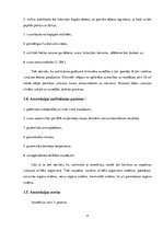 Referāts 'Anoreksija un bulīmija jauniešu vidū', 4.