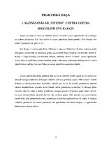 Referāts 'Anoreksija un bulīmija jauniešu vidū', 17.