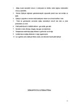 Referāts 'Spāņu tautas nacionālā virtuve', 11.