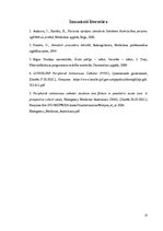 Referāts 'Latvijas un Austrālijas (Kvīnslendas) standartu analīzes salīdzinājums perifēro ', 17.