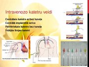 Referāts 'Latvijas un Austrālijas (Kvīnslendas) standartu analīzes salīdzinājums perifēro ', 22.