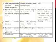 Referāts 'Latvijas un Austrālijas (Kvīnslendas) standartu analīzes salīdzinājums perifēro ', 26.