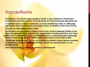 Referāts 'Latvijas un Austrālijas (Kvīnslendas) standartu analīzes salīdzinājums perifēro ', 40.