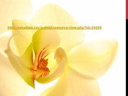 Referāts 'Latvijas un Austrālijas (Kvīnslendas) standartu analīzes salīdzinājums perifēro ', 41.