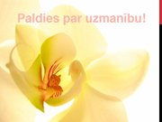 Referāts 'Latvijas un Austrālijas (Kvīnslendas) standartu analīzes salīdzinājums perifēro ', 43.