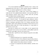 Referāts 'Starptautisko viesnīcu ķēžu ienākšana Latvijā', 2.