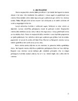 Referāts 'Starptautisko viesnīcu ķēžu ienākšana Latvijā', 11.