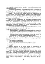 Referāts 'Kompānijas SIA "Re&Re" mārketinga komunikāciju plāns', 8.